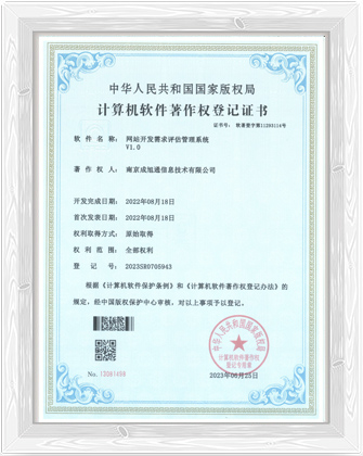 网站开发需求评估管理系统